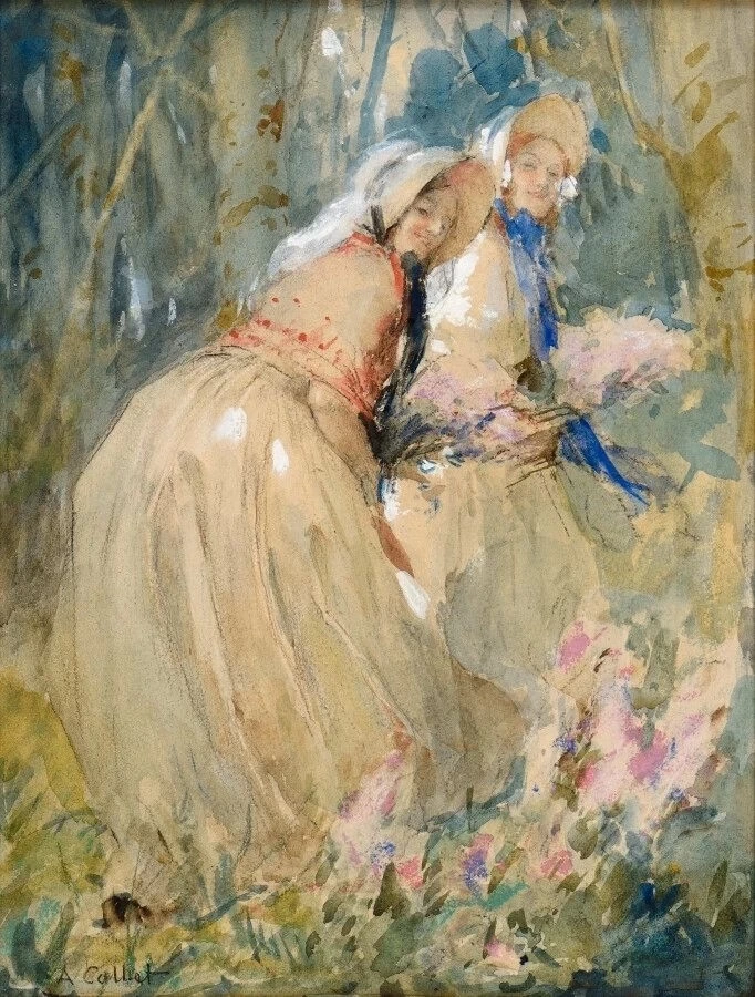 Raccolta di fiori nel bosco